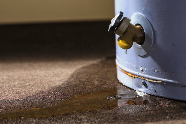 Best Mold removal after water damage  in Fox River Grove, IL