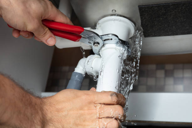 Best Water damage cleanup near me  in Fox River Grove, IL