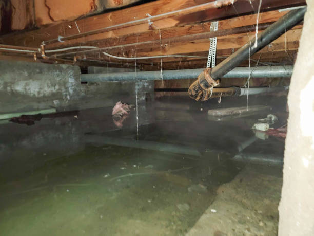 Best 24/7 water damage repair  in Fox River Grove, IL