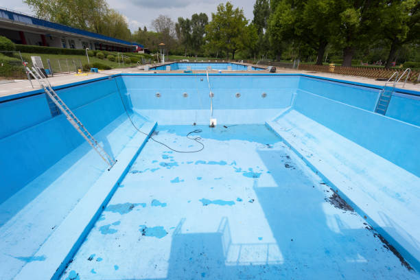 Best Water damage contractors near me  in Fox River Grove, IL