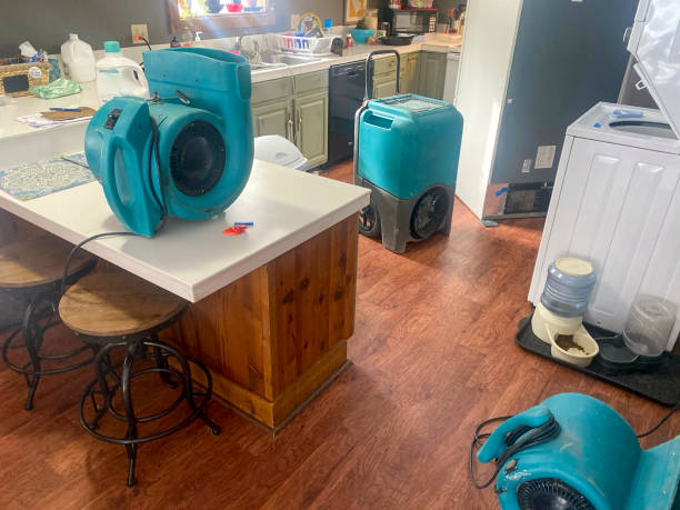 Best Carpet water damage restoration  in Fox River Grove, IL
