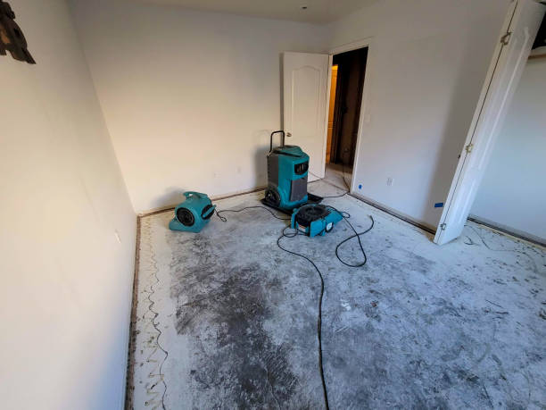 Best Basement water damage restoration  in Fox River Grove, IL
