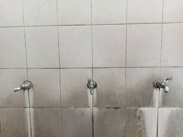 Best Flood damage cleanup  in Fox River Grove, IL