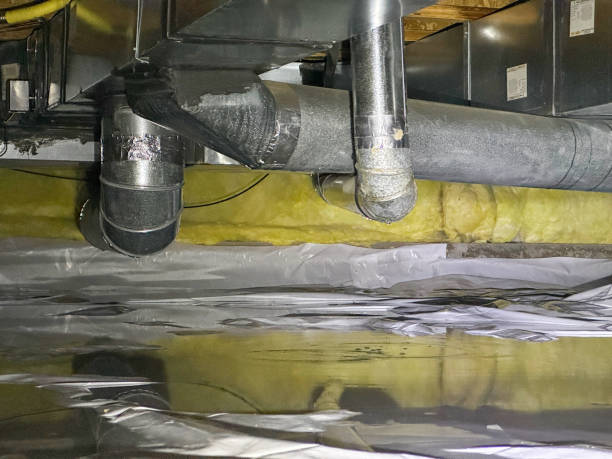 Best Ceiling water damage repair  in Fox River Grove, IL