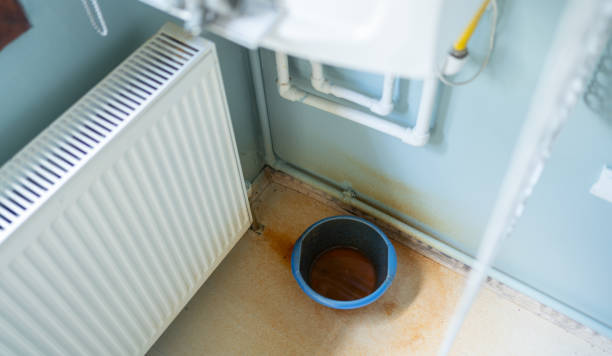 Best Fire Damage Restoration  in Fox River Grove, IL