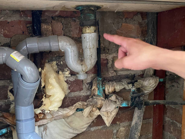 Water damage restoration insurance claims in Fox River Grove, IL