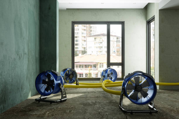 Best Water damage restoration near me  in Fox River Grove, IL