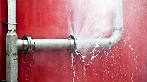 Best Commercial water damage restoration  in Fox River Grove, IL